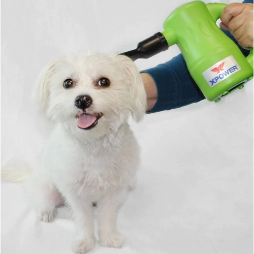 Multipurpose Pet Grooming Dryer