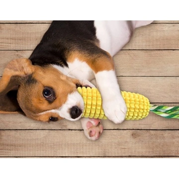 Squeaky Pet Dog Chew Toy