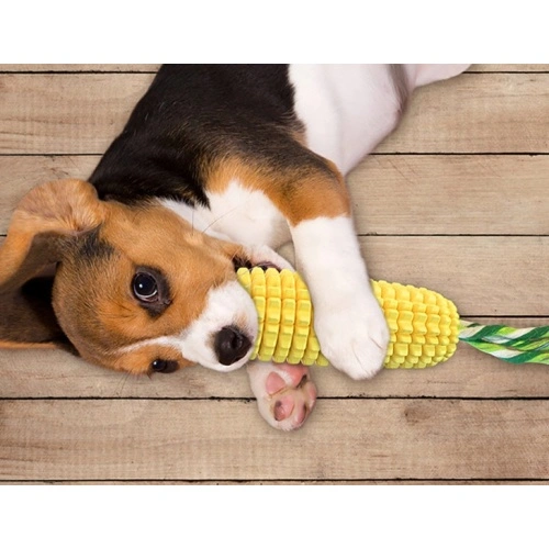 Squeaky Pet Dog Chew Toy