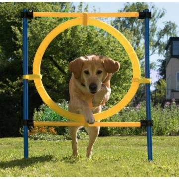Dog Agility Exercise Training Equipment