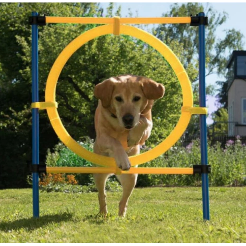 Dog Agility Exercise Training Equipment