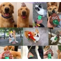 Super Cute Dog Poop Bag Holder