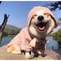 Small Dog Winter Coat Dog Clothes