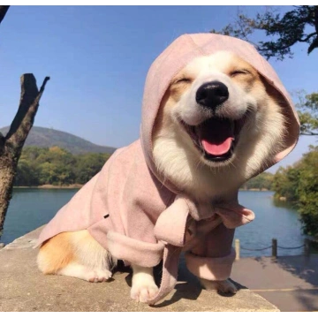 Small Dog Winter Coat Dog Clothes