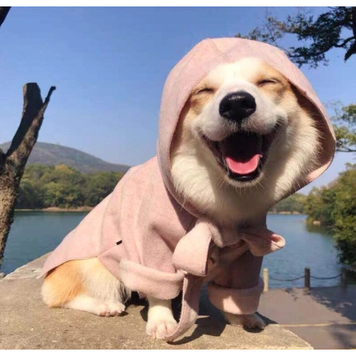 Small Dog Winter Coat Dog Clothes