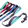 Two Handles Dog Leash