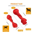 Dental Chew Toys for Dogs