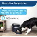 Smart Feed Automatic Pet Feeder
