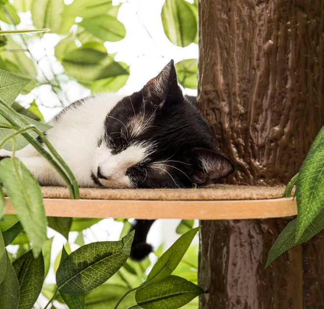 Cats Play Tower