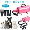 Portable Dog Cat Pet Grooming Dryer 2400w
