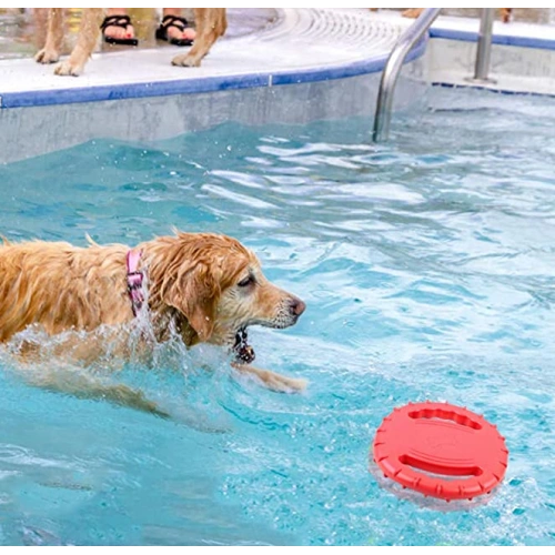 Tough Flying Disc Play Toy