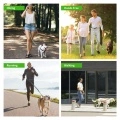 Multifunctional Dog Leashes / Leash