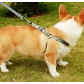 High Quality Pet Cooling Harness