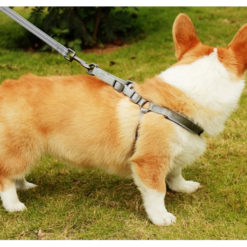 High Quality Pet Cooling Harness
