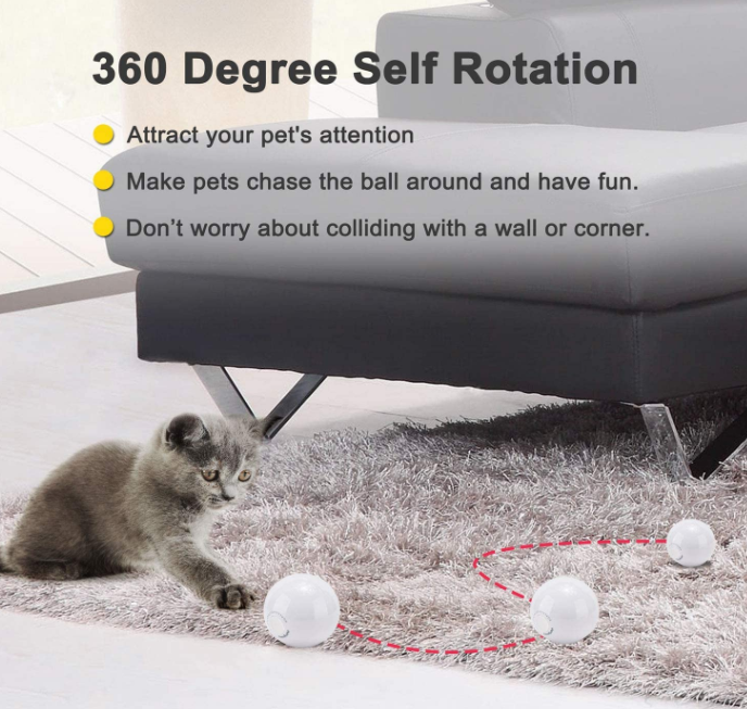 Smart Cat Toys