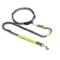 Multicolor nylon adjustable hands free dog bungee leads