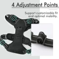 Hounds Design Freedom No Pull Dog Harness Custom