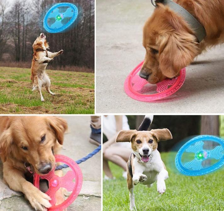 Dog Large Flying Discs