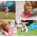 Pet dog Large frisbee