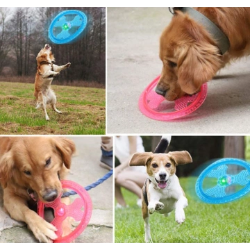 Pet dog Large frisbee