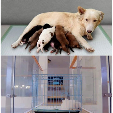 Super Absorbent Leak Proof puppy Pad