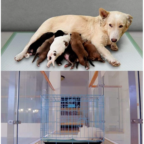 Super Absorbent Leak Proof puppy Pad