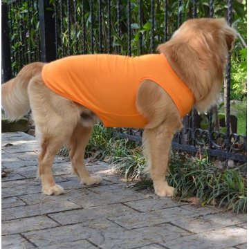 Puppy Dog Clothes Blank T-Shirt Tee Shirts