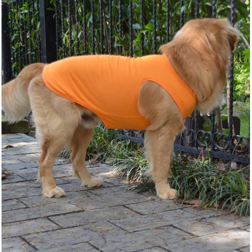Puppy Dog Clothes Blank T-Shirt Tee Shirts
