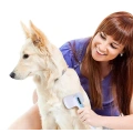 Professional Dog Grooming Brush Set
