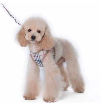 Puppy Walking Running Dog Harness