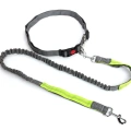 Multicolor nylon adjustable hands free dog bungee leads