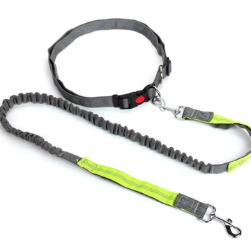 Multicolor nylon adjustable hands free dog bungee leads
