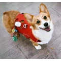 Super Cute Dog Poop Bag Holder