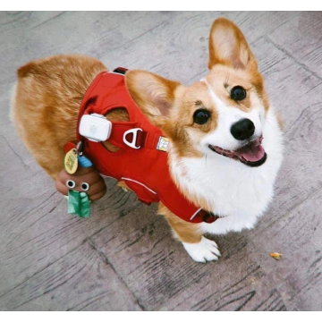 Super Cute Dog Poop Bag Holder