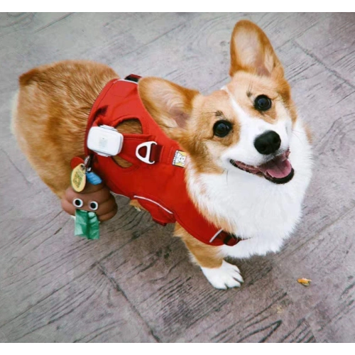 Super Cute Dog Poop Bag Holder