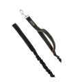 Comfortable Bungee Dog Leash