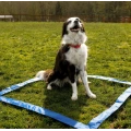 28 Piece Dog Obstacle Course for Training