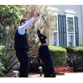 Heavy Duty Dog Rope Toys