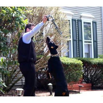 Heavy Duty Dog Rope Toys