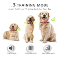 Dog Shock Collar with Remote