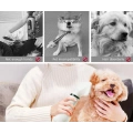 2 in 1 Portable Home Pet Hair Dryer