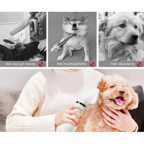 2 in 1 Portable Home Pet Hair Dryer
