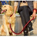 Braided Nylon Dog Leash