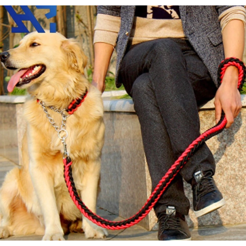 Braided Nylon Dog Leash