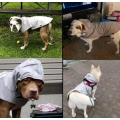 Gray Dog Rain Poncho with Hood