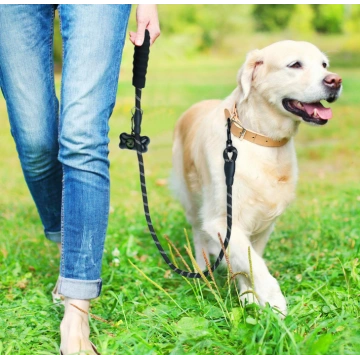 5 FT Strong Dog Leash