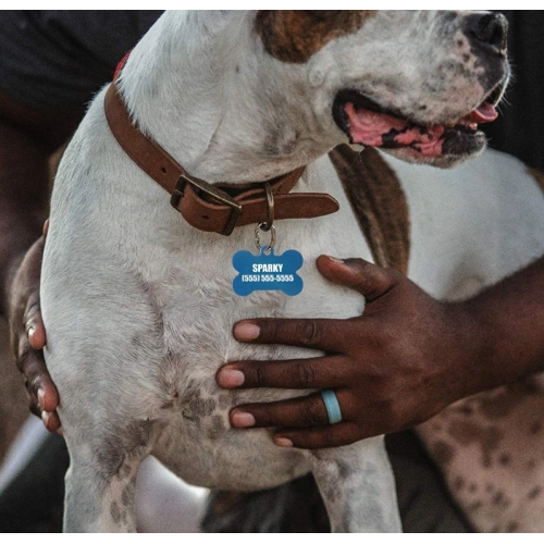 Stylish Pet ID Tag
