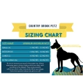 Premium Nylon Dog Collar with Metal Buckle