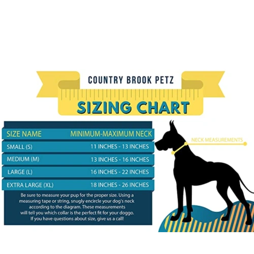 Premium Nylon Dog Collar with Metal Buckle