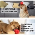 Dog Balls For Outdoors Training Fetch Game